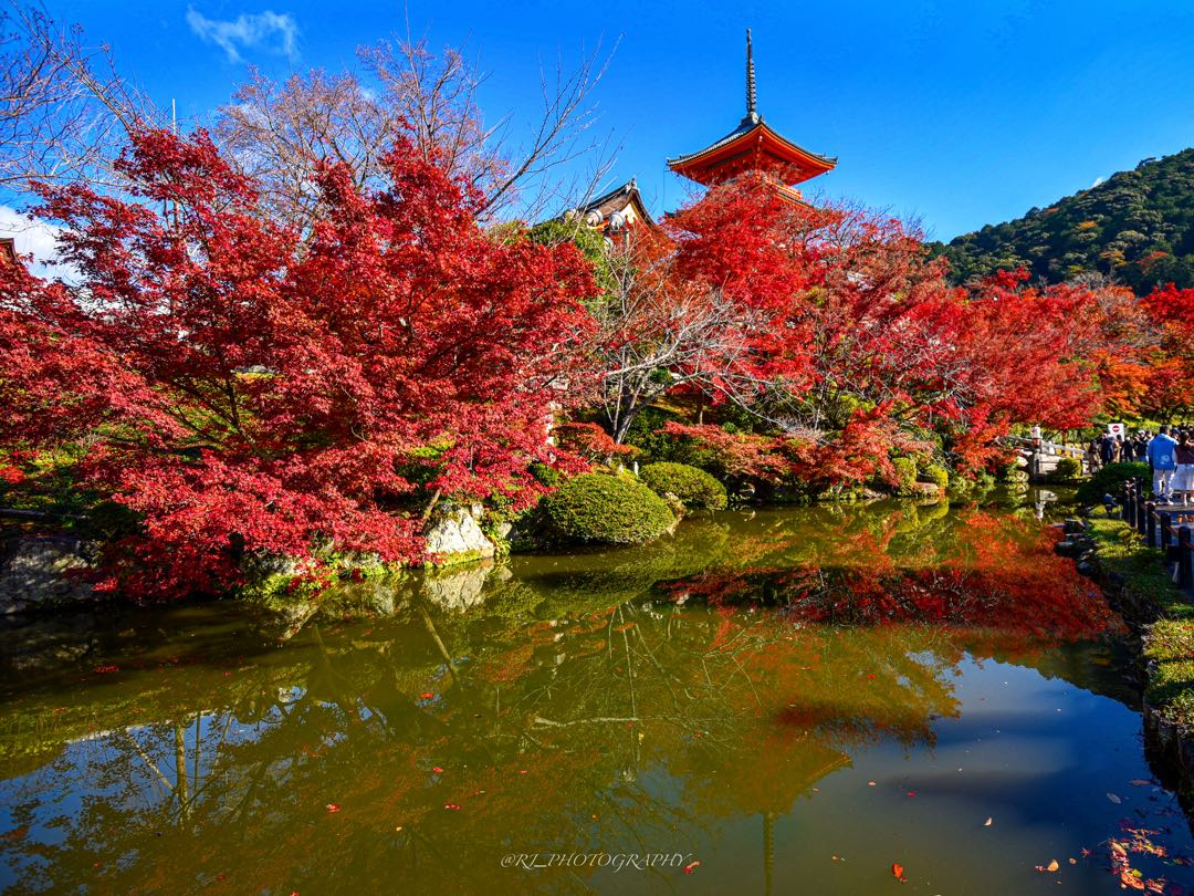 Autumn