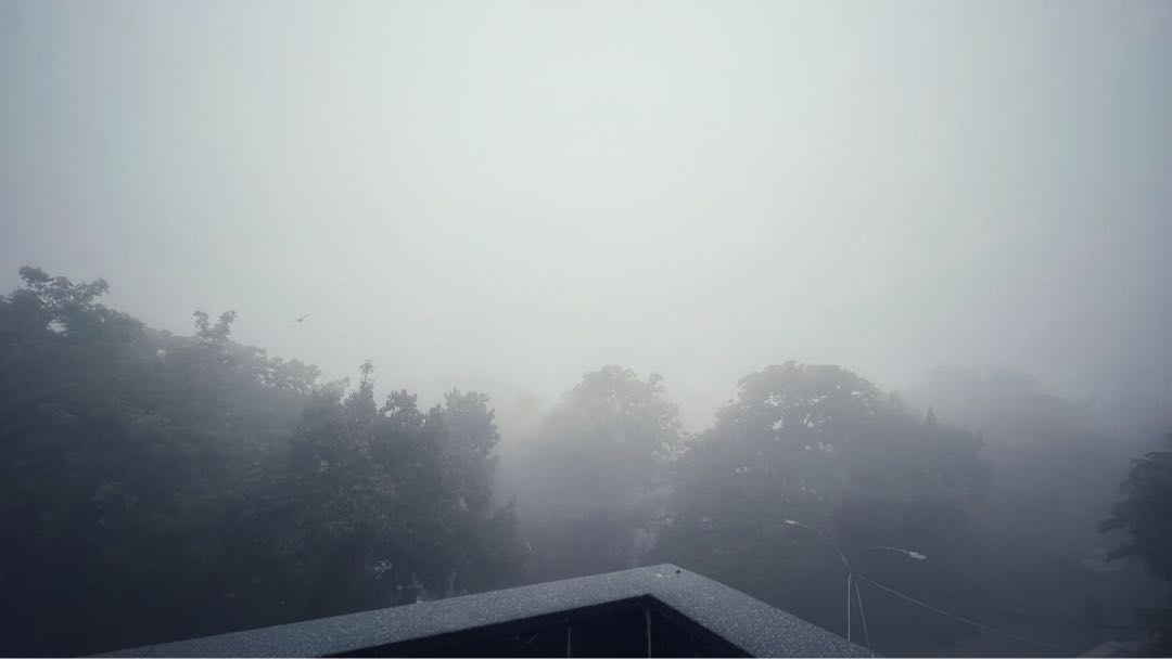 a foggy morning