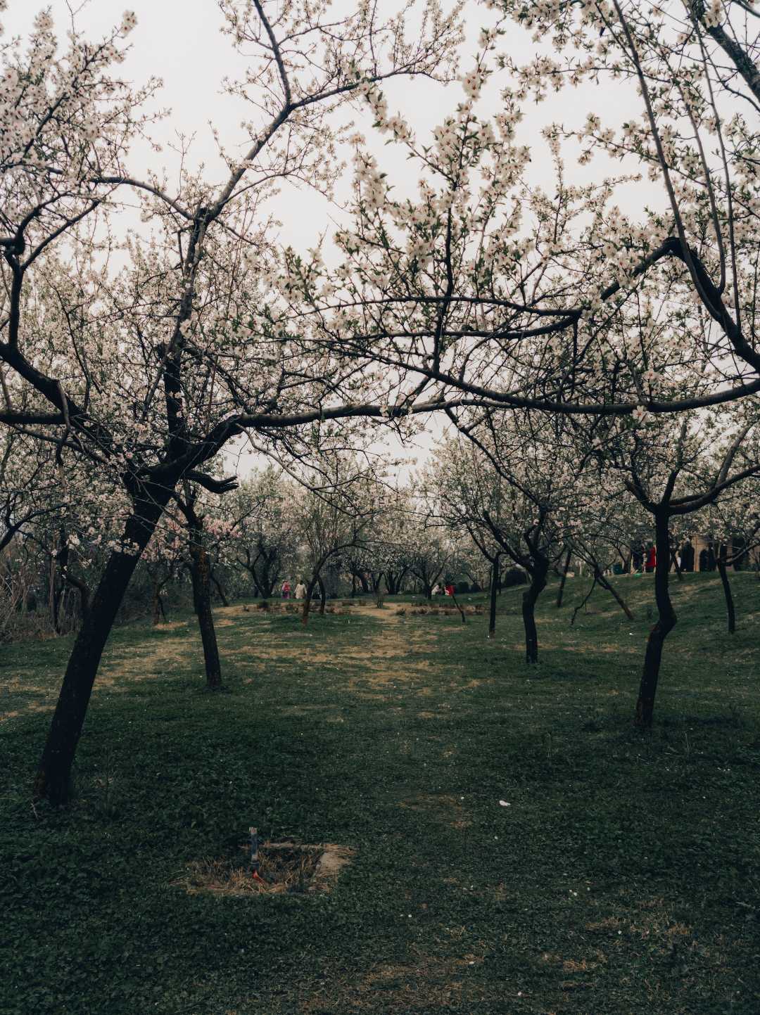 Say Hi To Spring! 