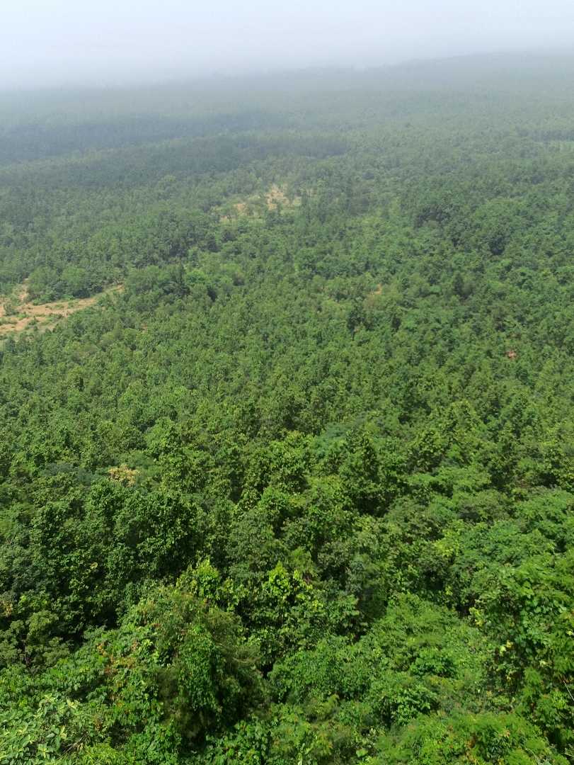 Jangalmahal (West Bengal ) 