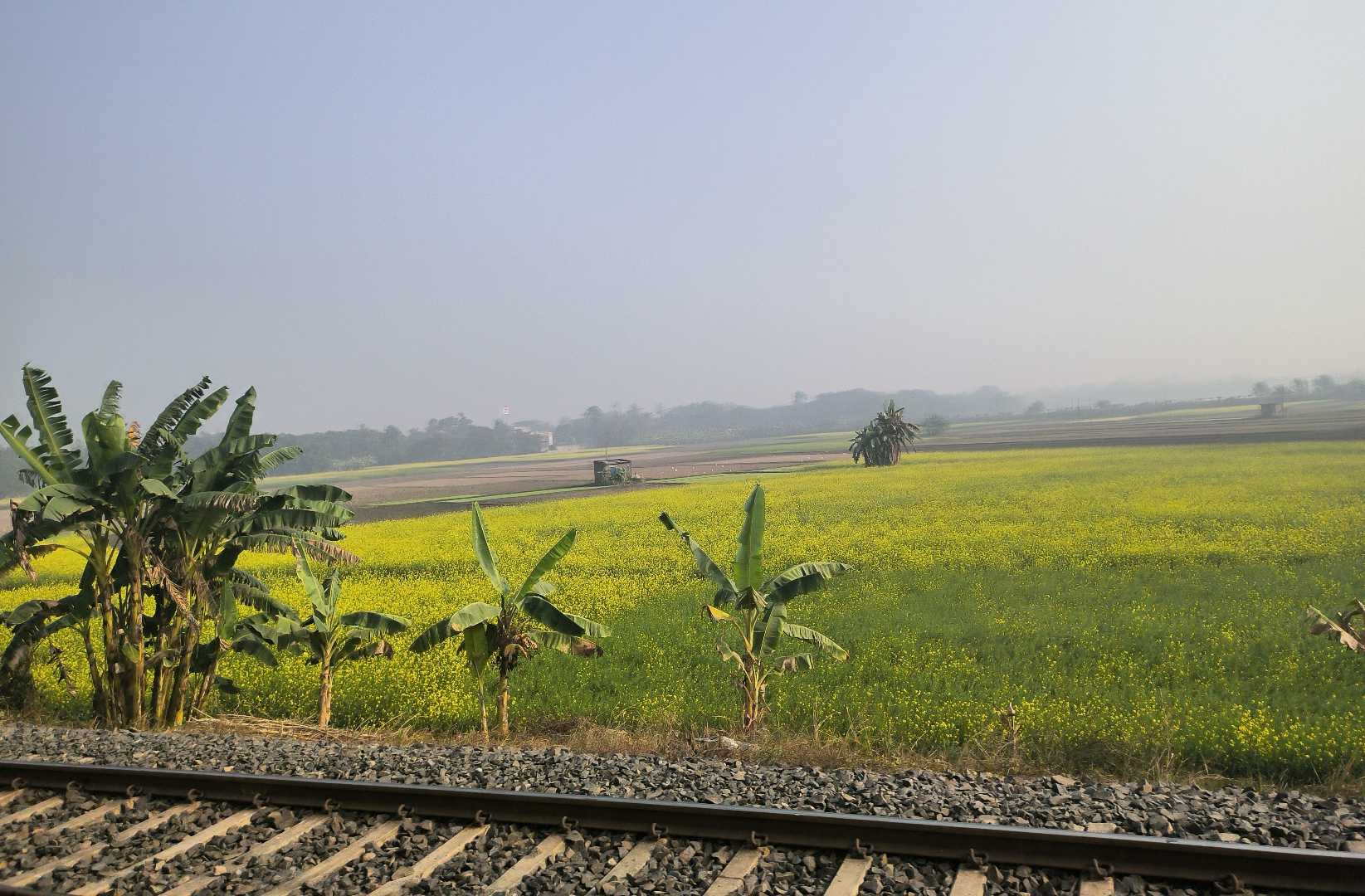 Yellow Mustard Fields beside Railway Track♥️