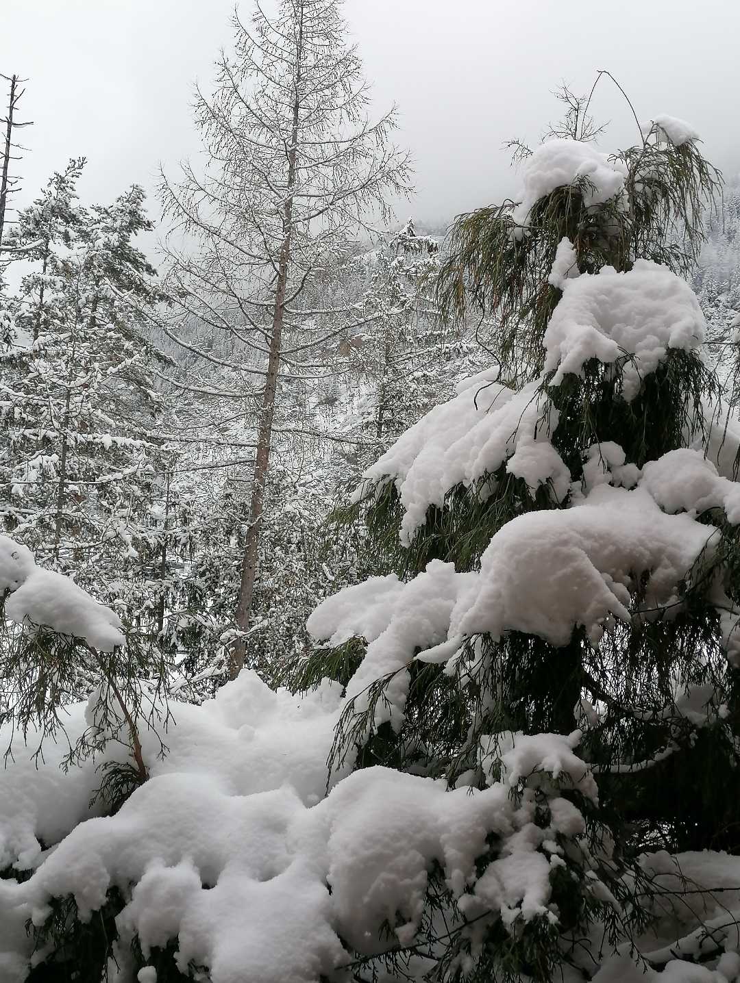 Kar 🏔️ soguk😊