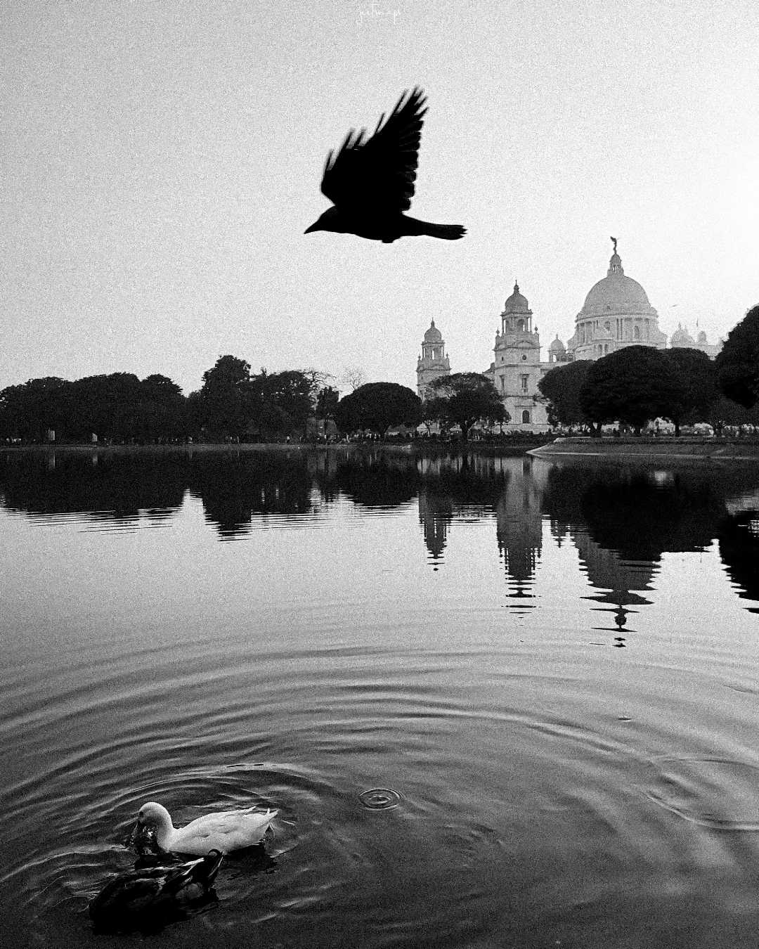 BNW