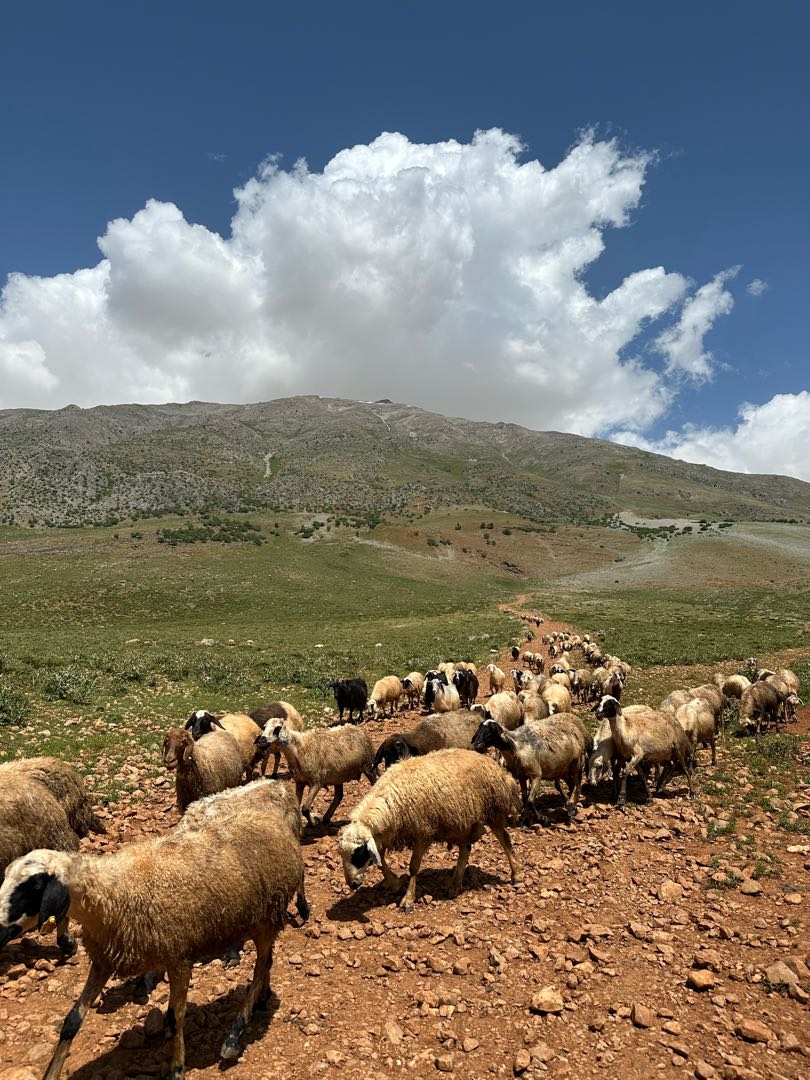 Tunceli Ovacık Munzur Dağları / Tunceli Ovacik Munzur Mountains