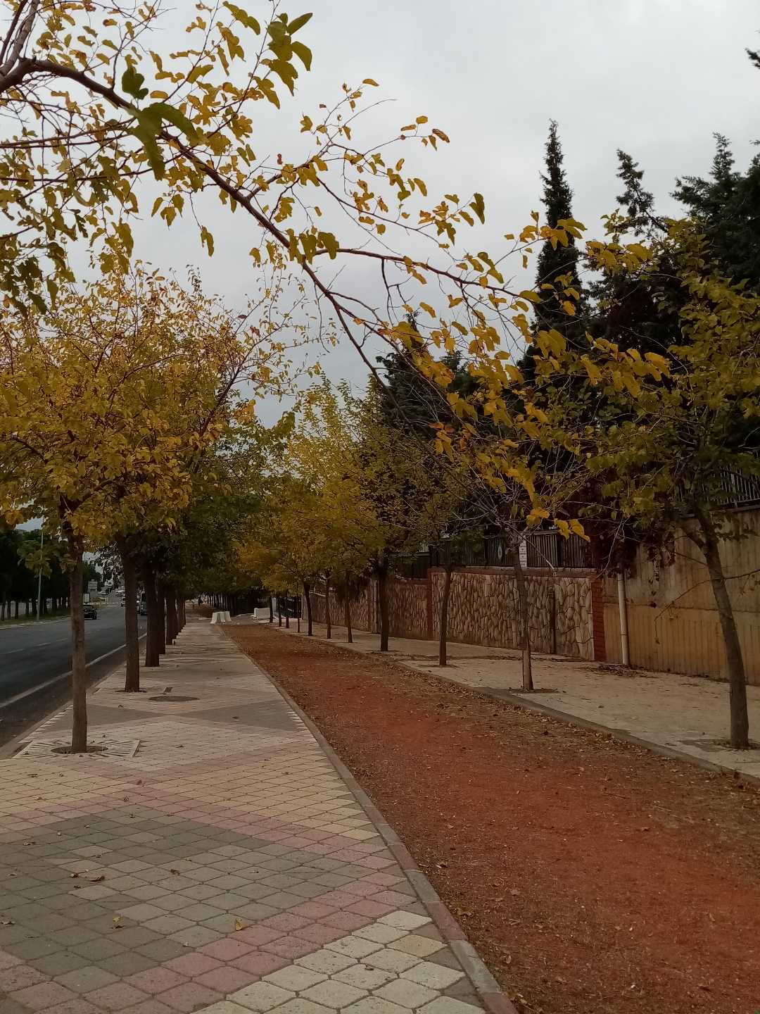 🍂