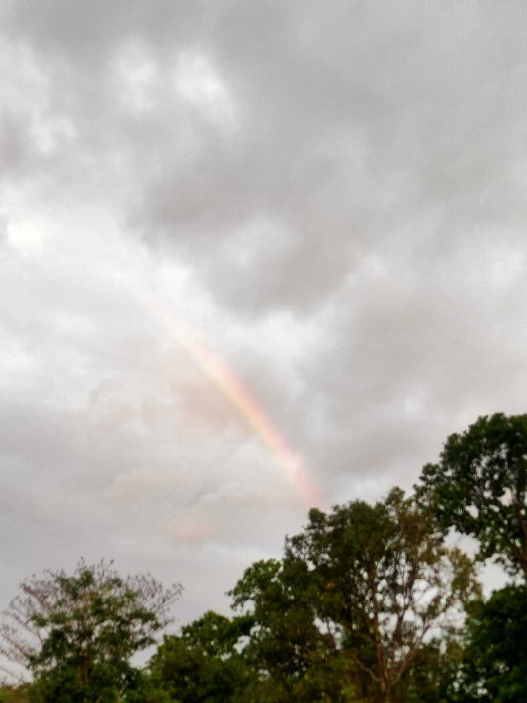🏳️‍🌈🏳️‍🌈🏳️‍🌈🏳️‍🌈🏳️‍🌈🏳️‍🌈