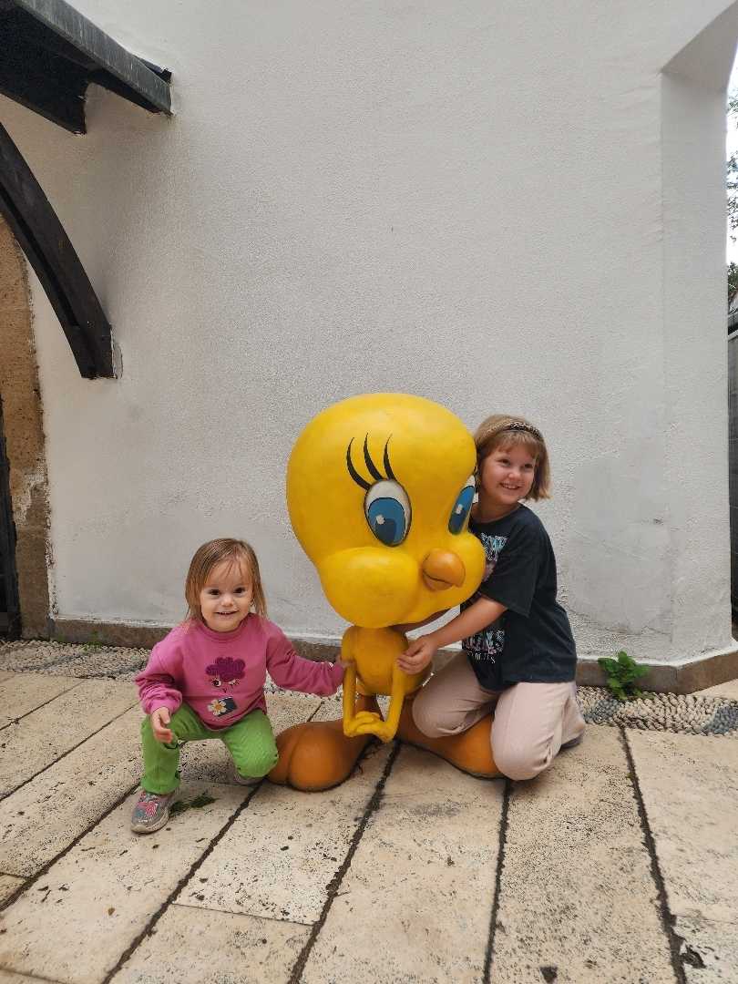 The Toy Museum