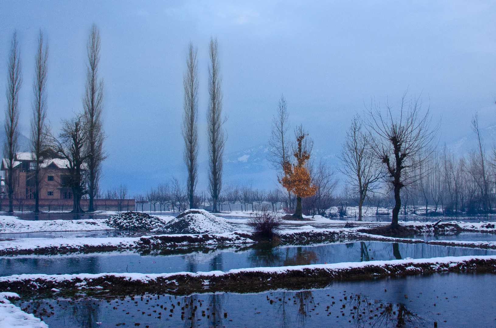 After Snowfall - Winters in Kashmir