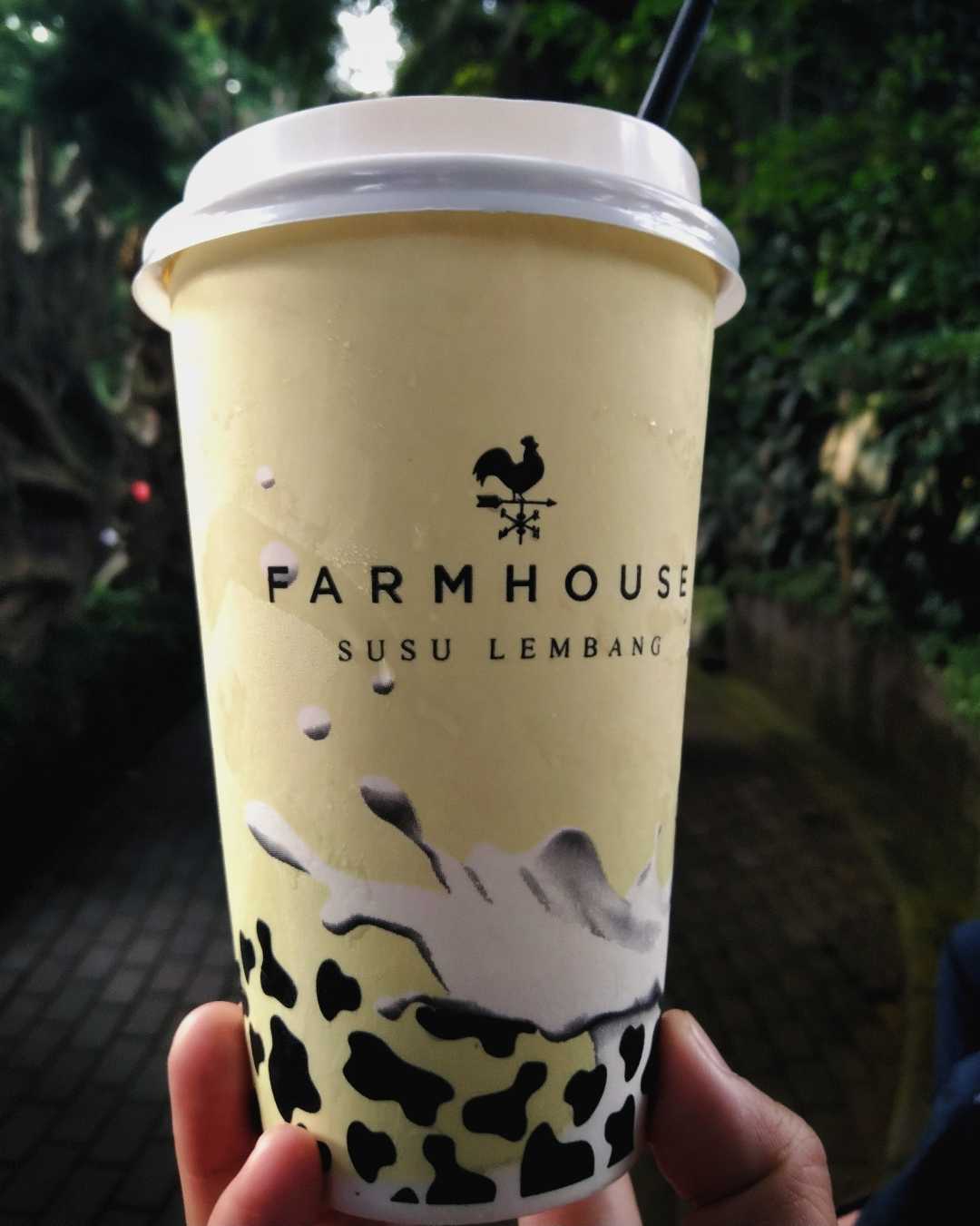 Farm House Susu Lembang 