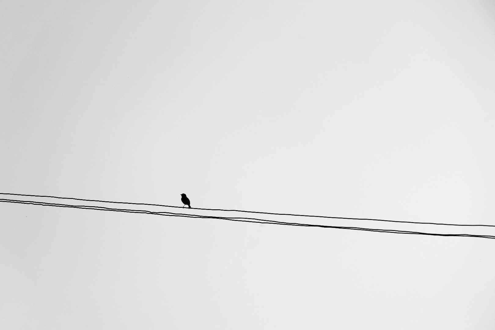 alone 