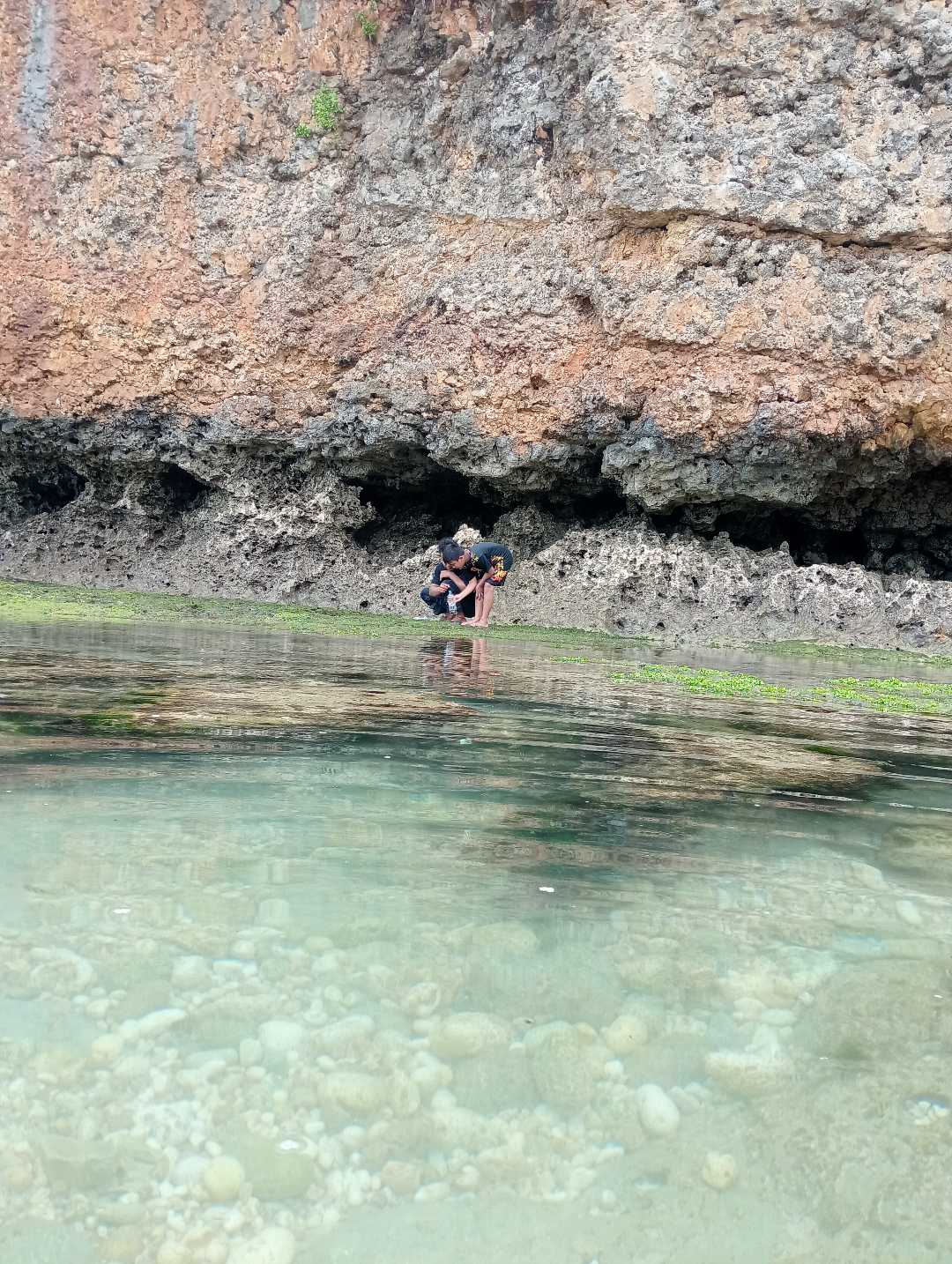Cari Ikan