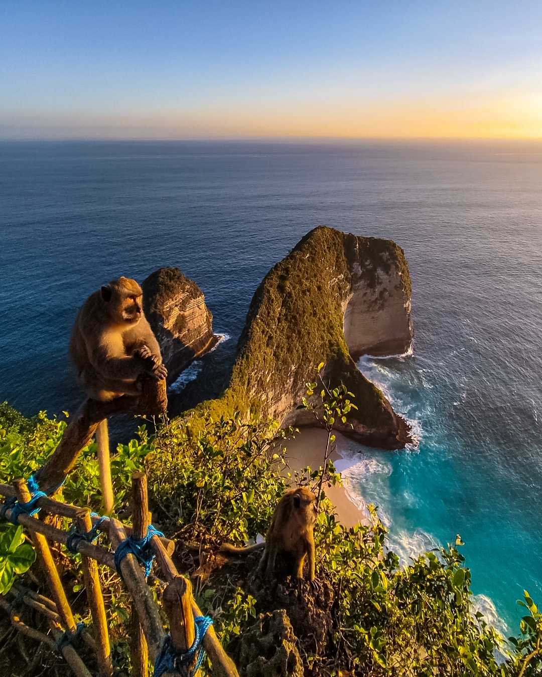 Kelingking Beach Surga Yang Tersembunyi Di Nusa Penida