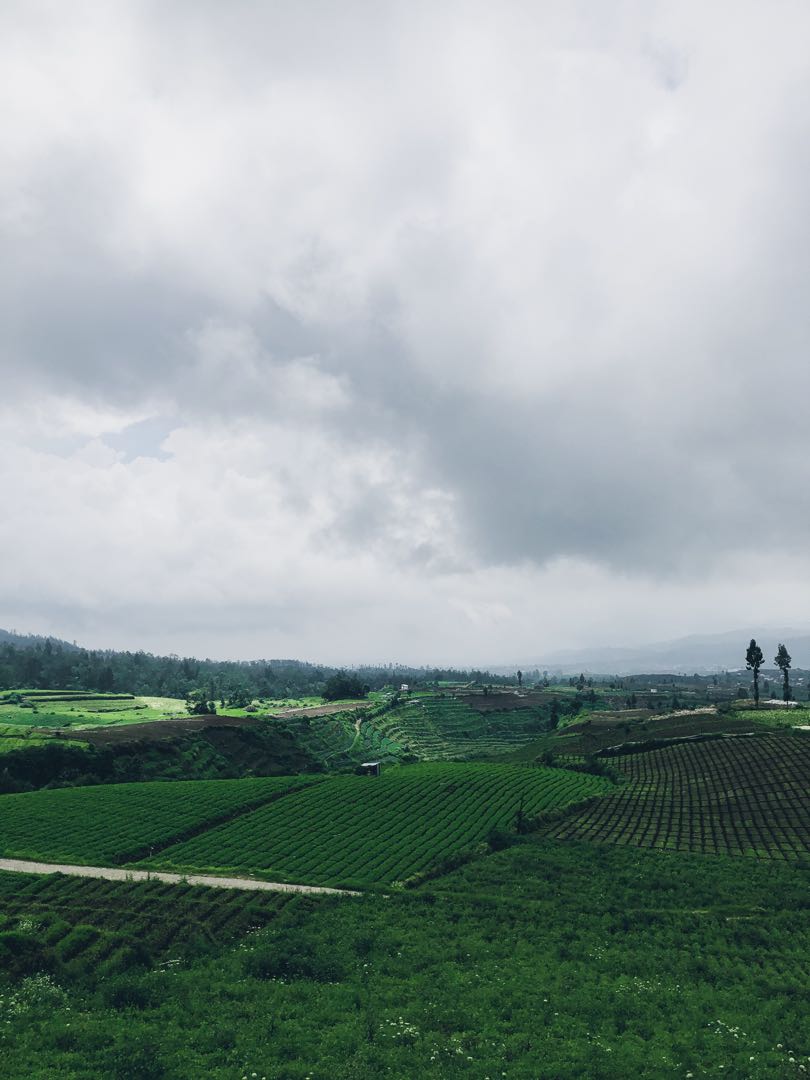 This is Brakseng Hill