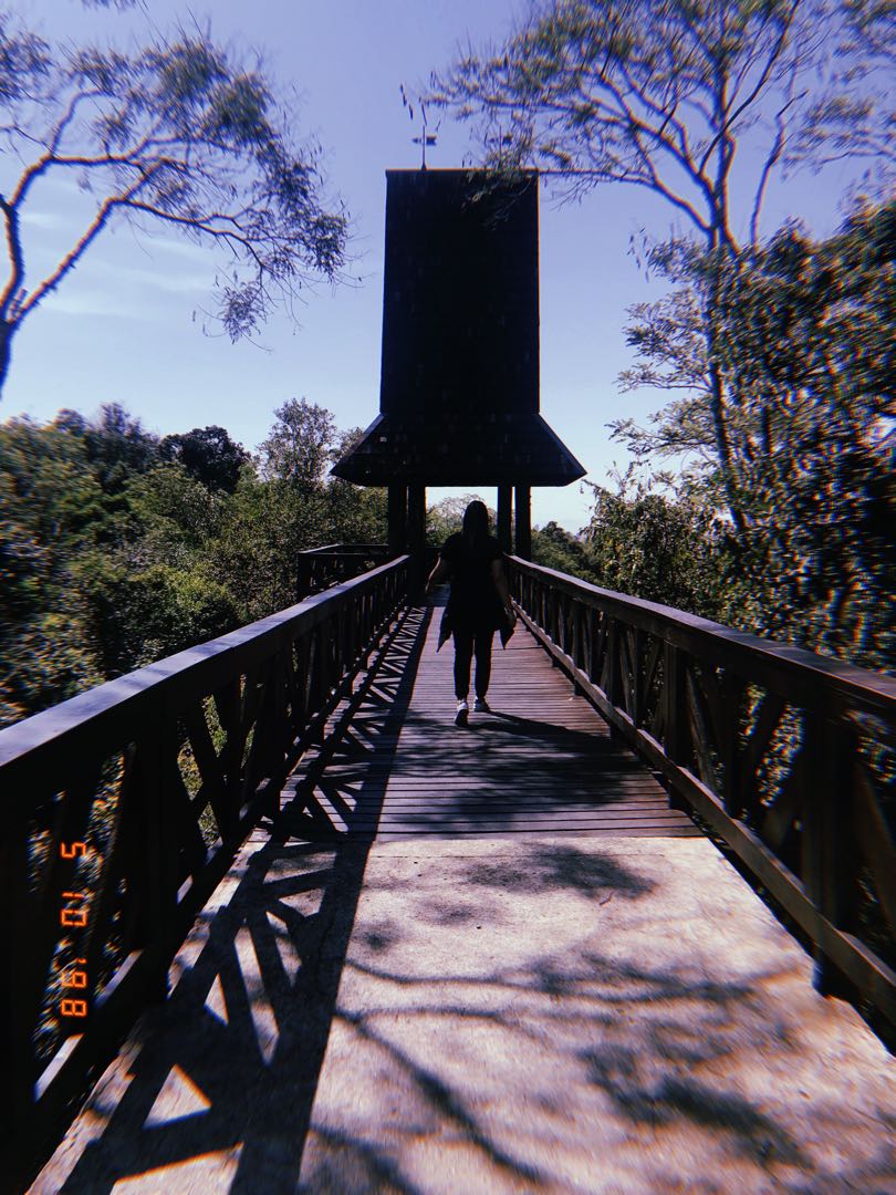 Curitiba 🇧🇷 