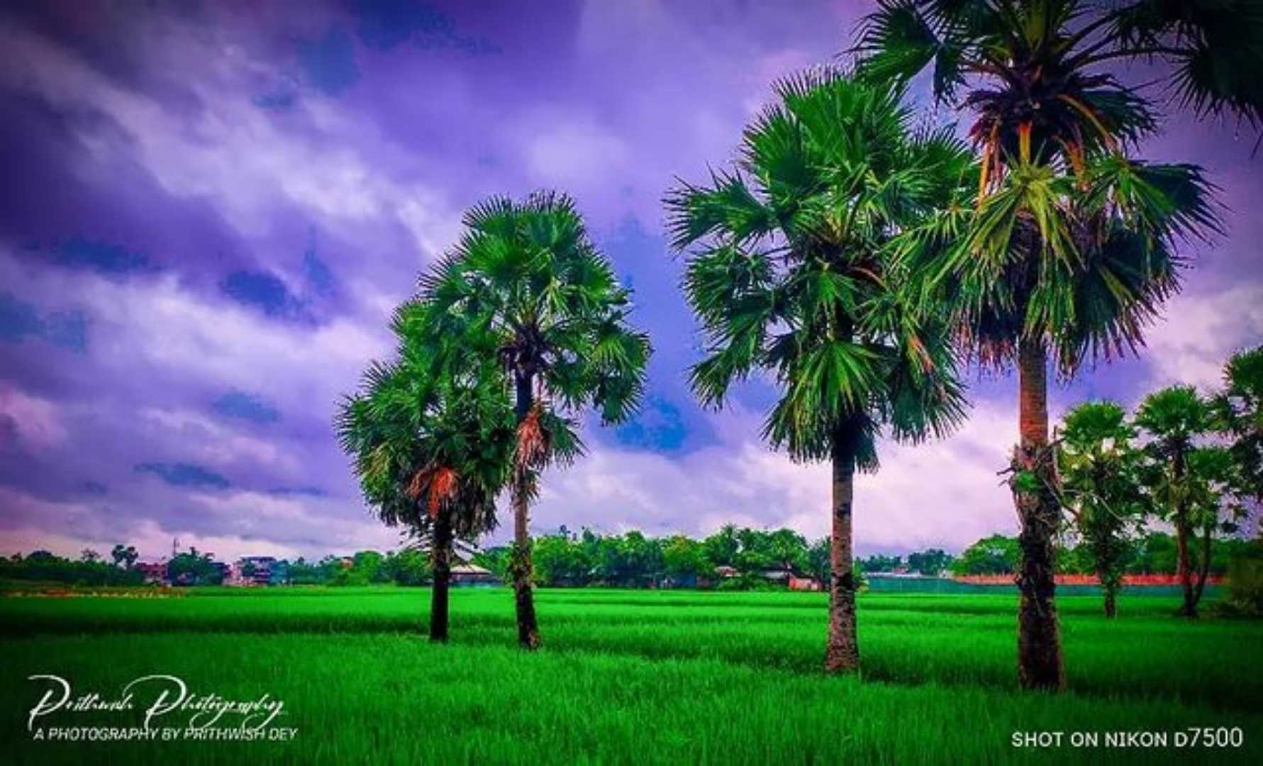 Nature Photography🗾🏞️