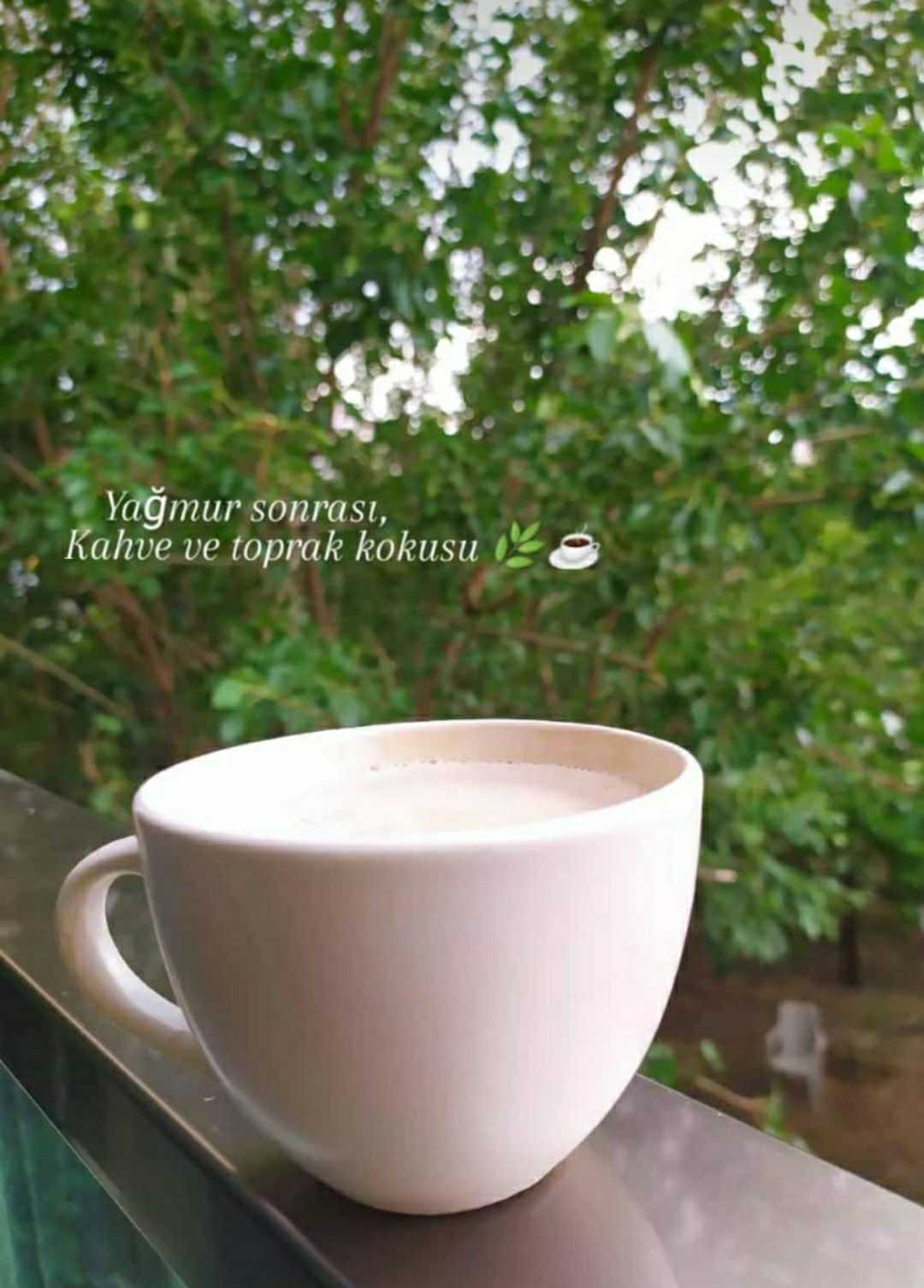 ☕🌸💕