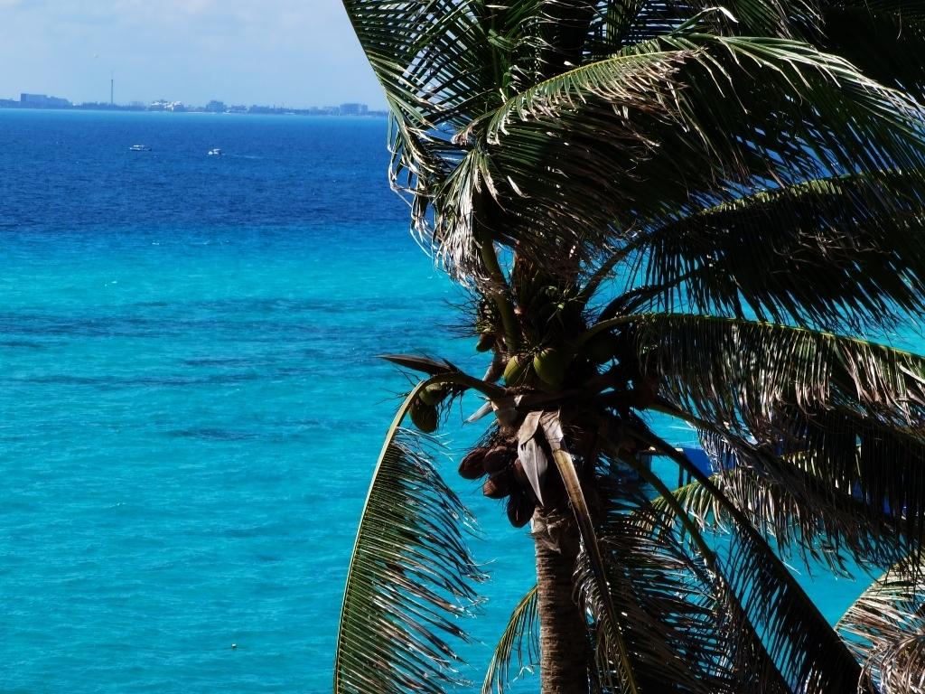 Isla Mujeres 