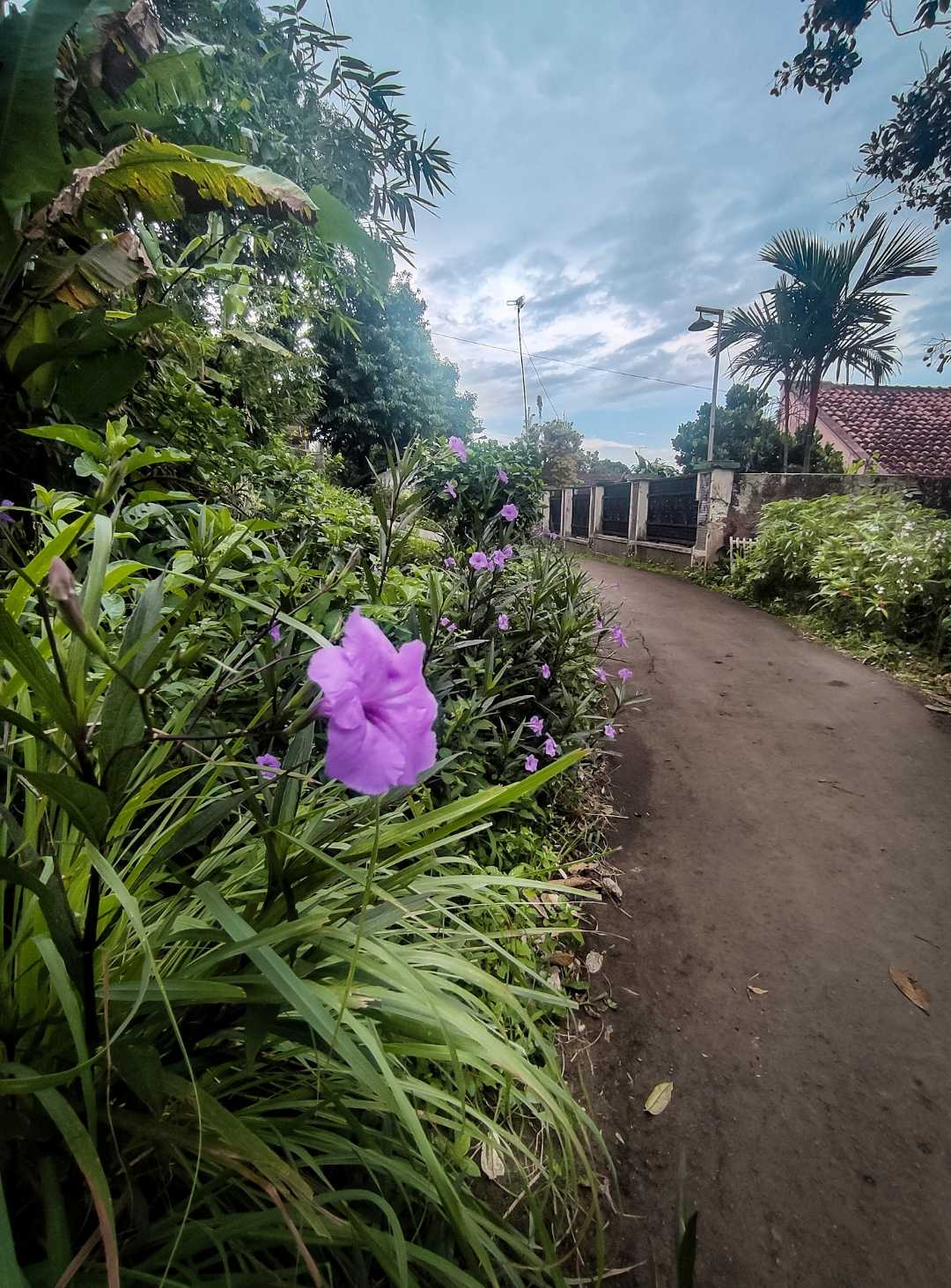 Jalan Kampung