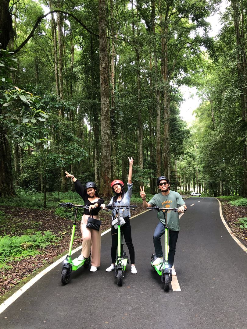 Bedugul