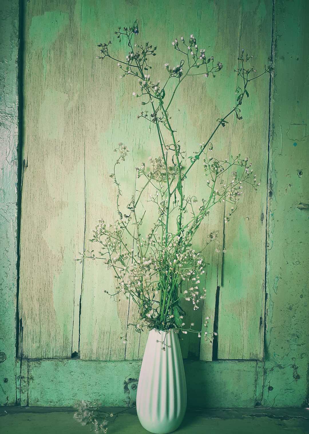 still life bunga