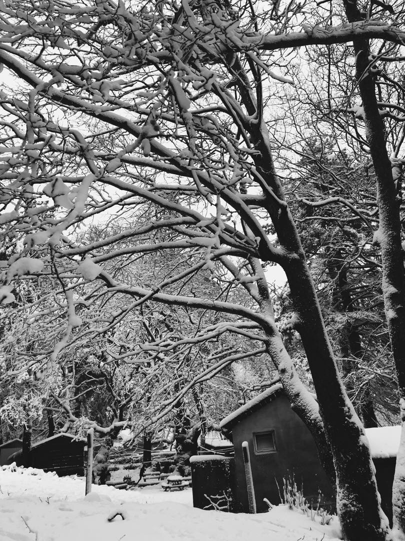 trapped in white