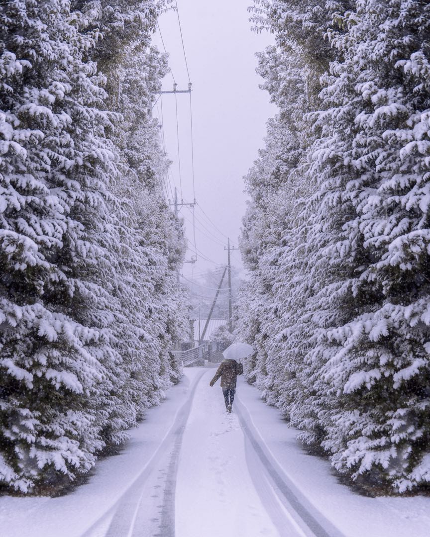 the day of the first snowfall in january