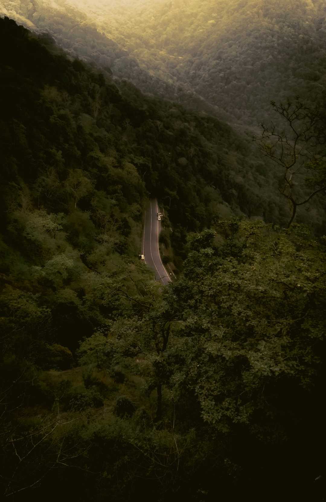 INTO THE WILD❤

