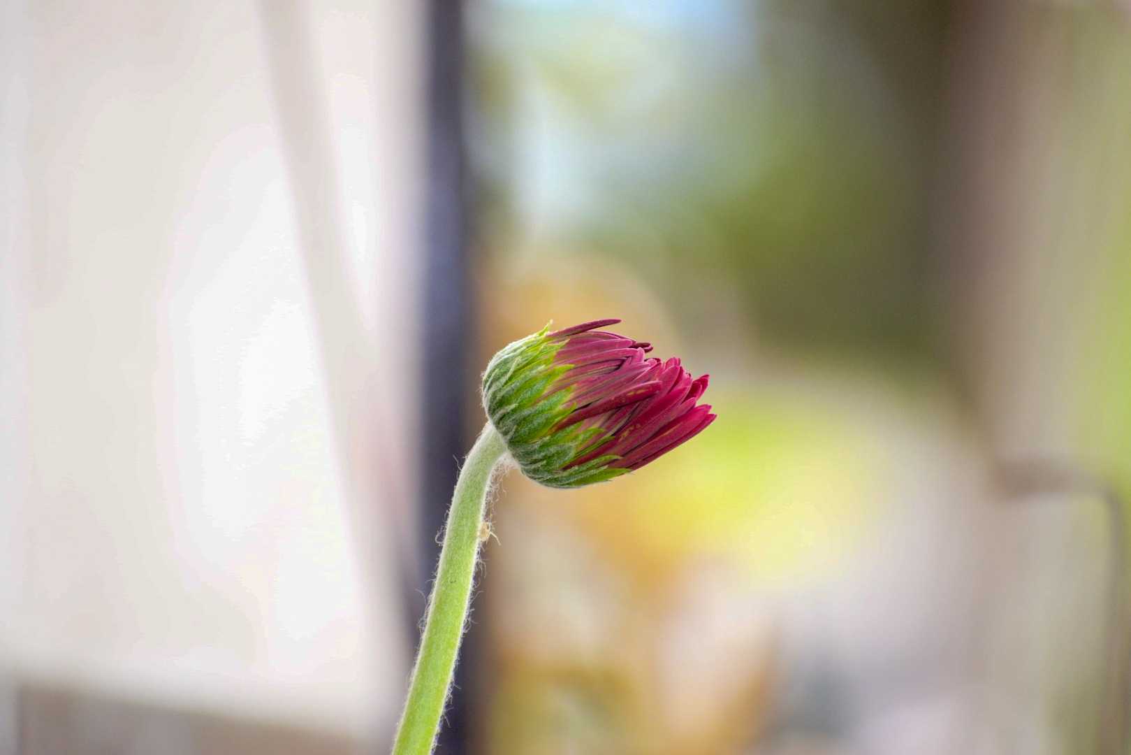 New Beginning 