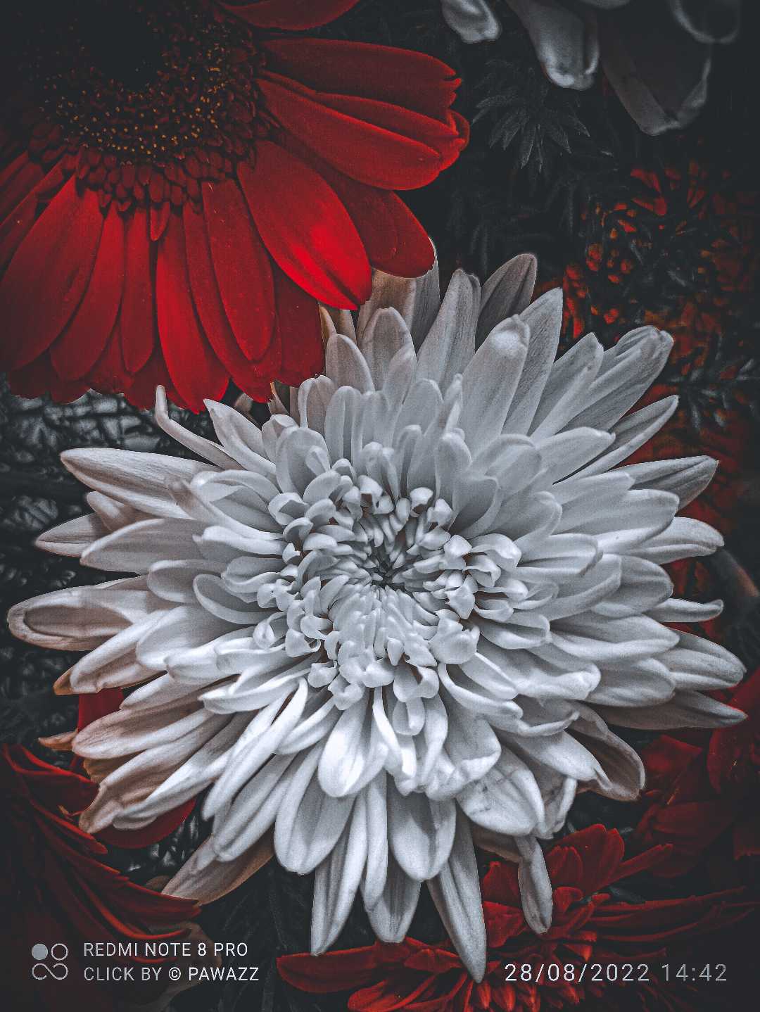white & black flower couple
