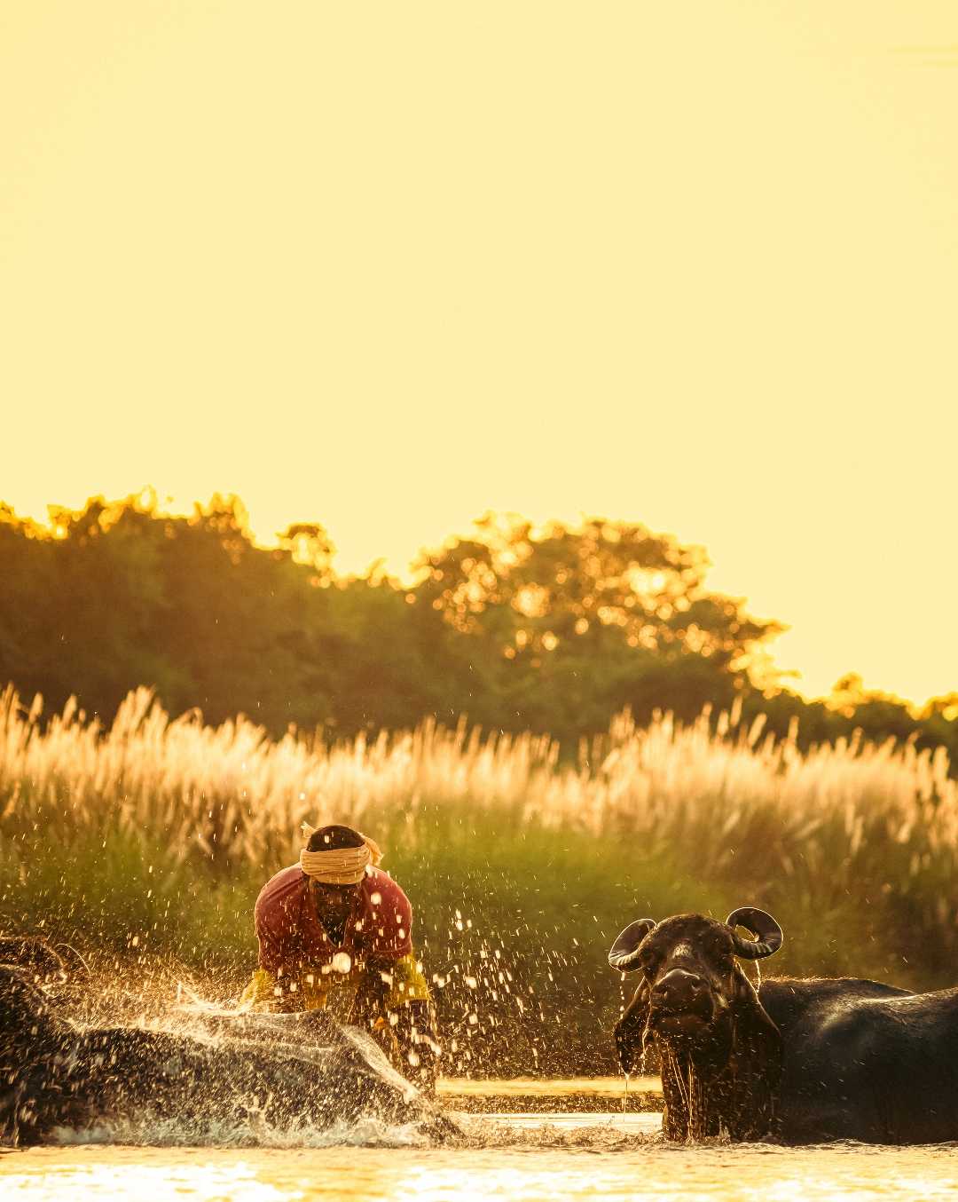 Rural Life ♥️