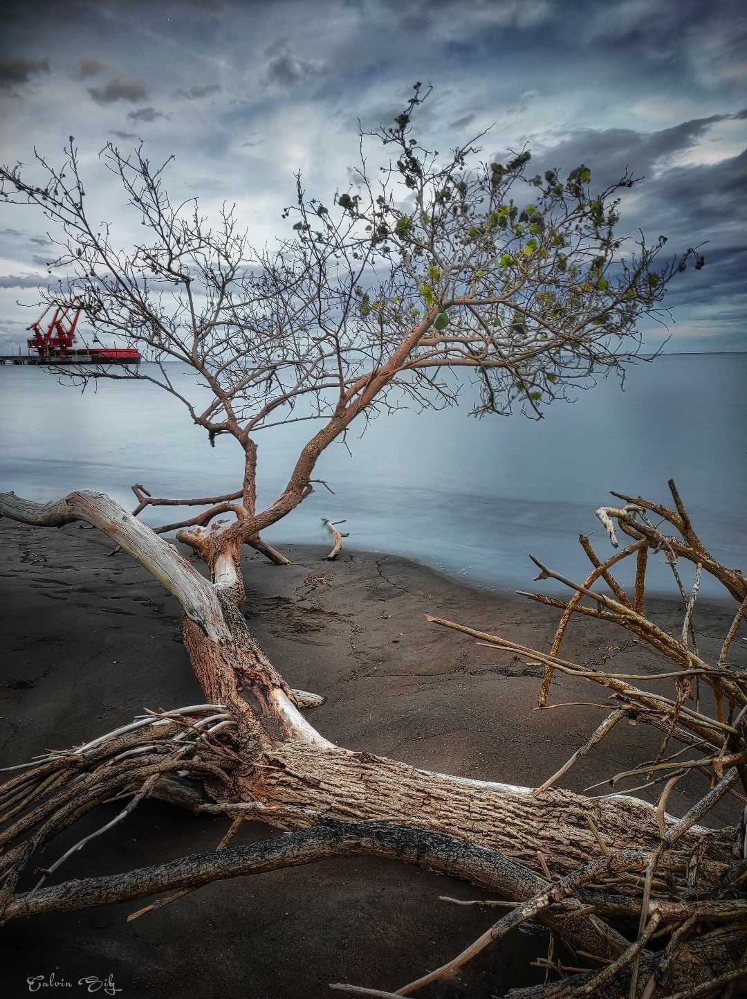 Pantai Firdaus