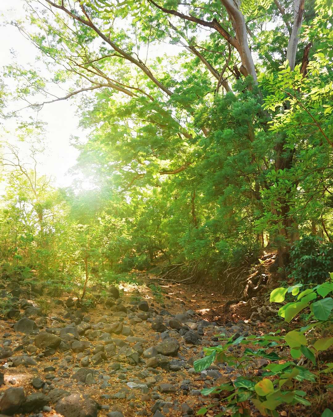 Sungai kering 