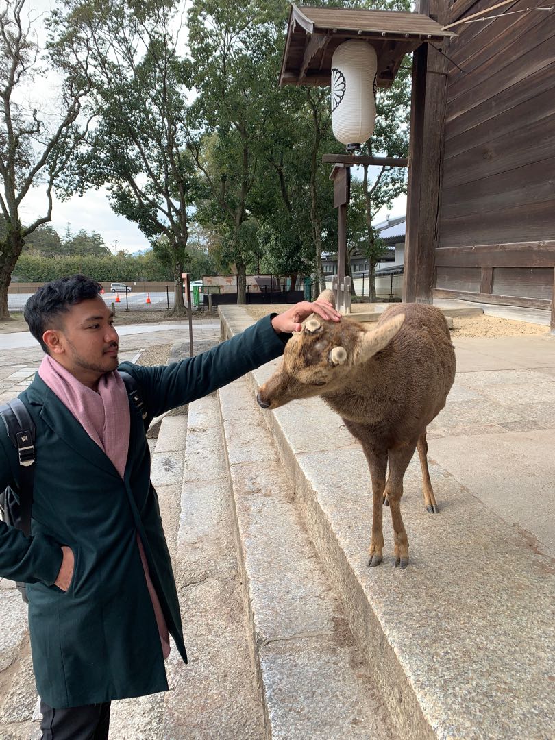 nara park
