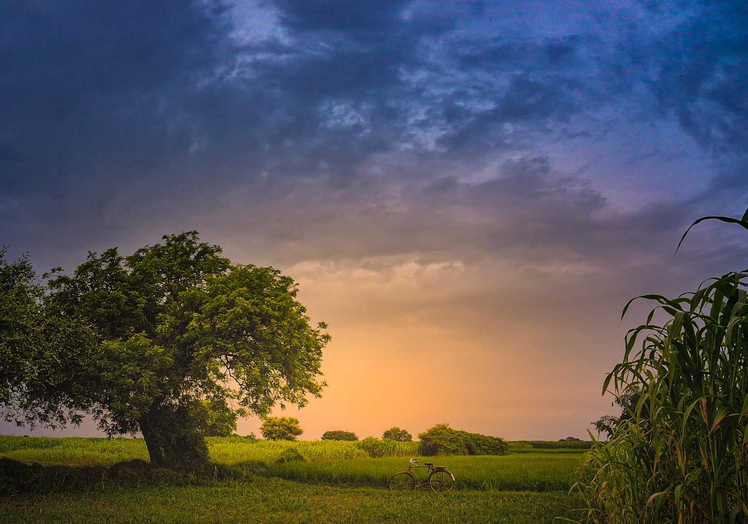 sunset