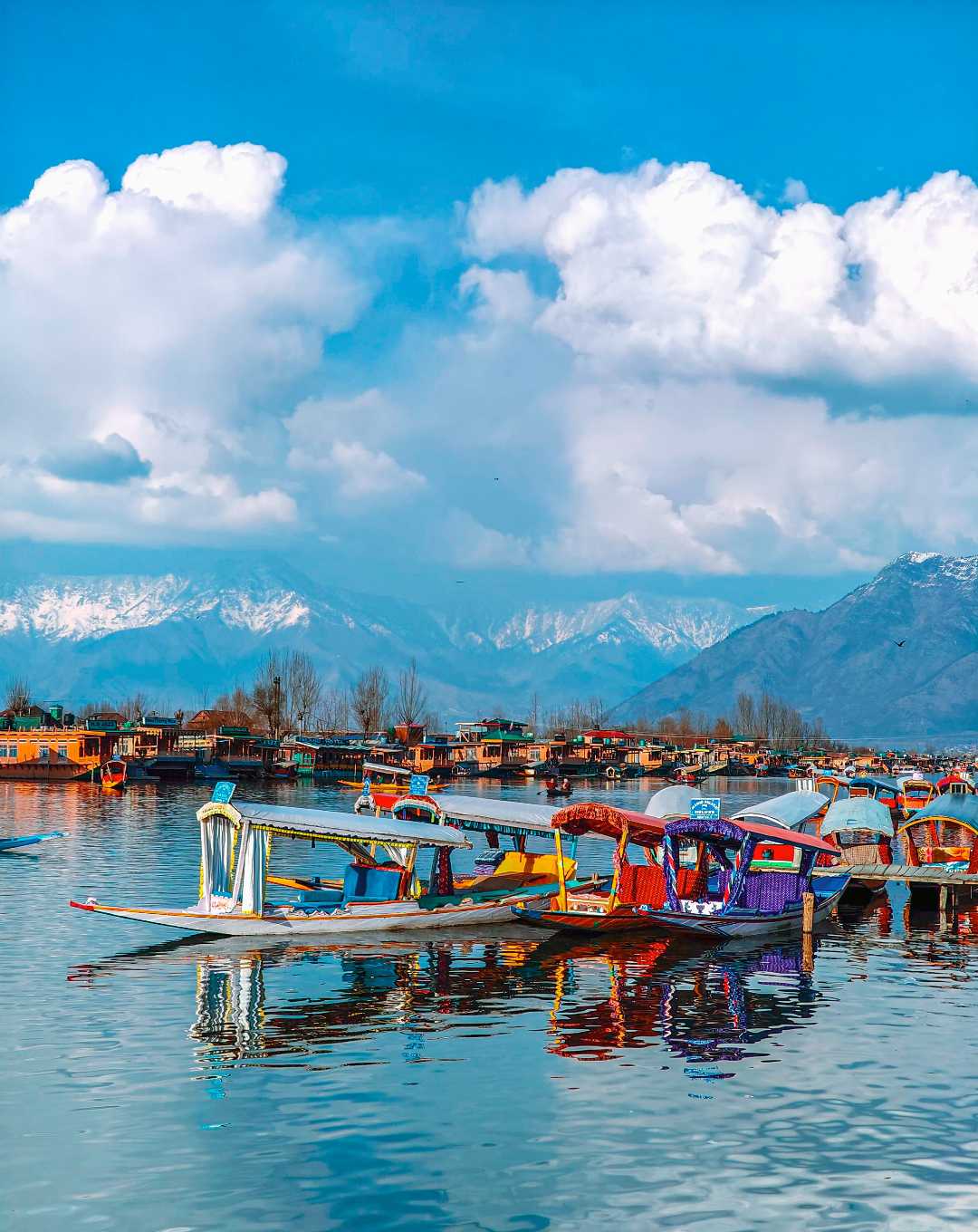 Spring Awakening : Dal lake and the Snow-Covered Zabarwan Ra