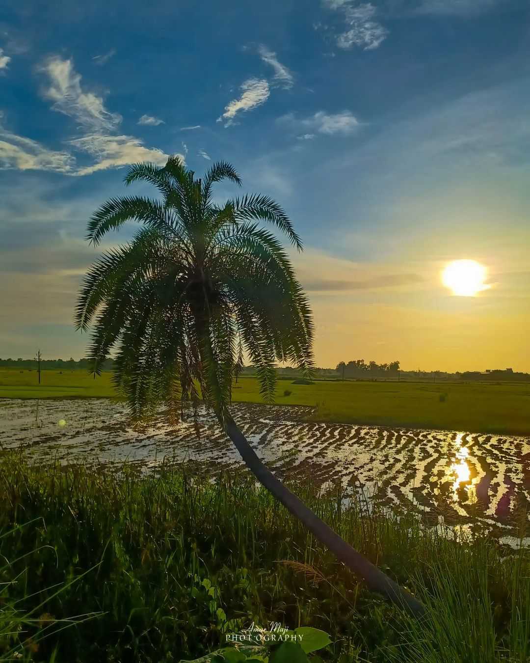 Nature is heaven 🤍