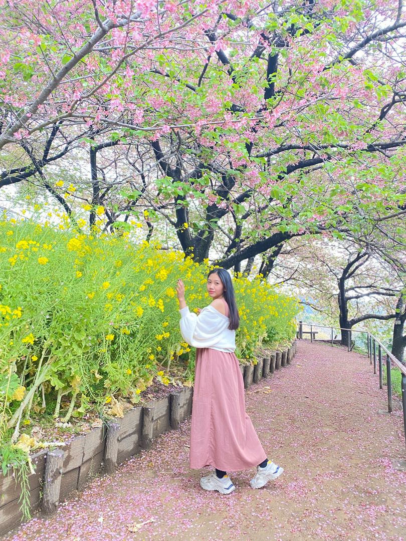 cherry blossom 2022 🌸