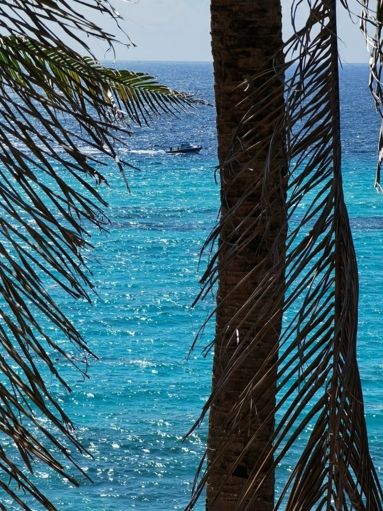 Isla Mujeres 