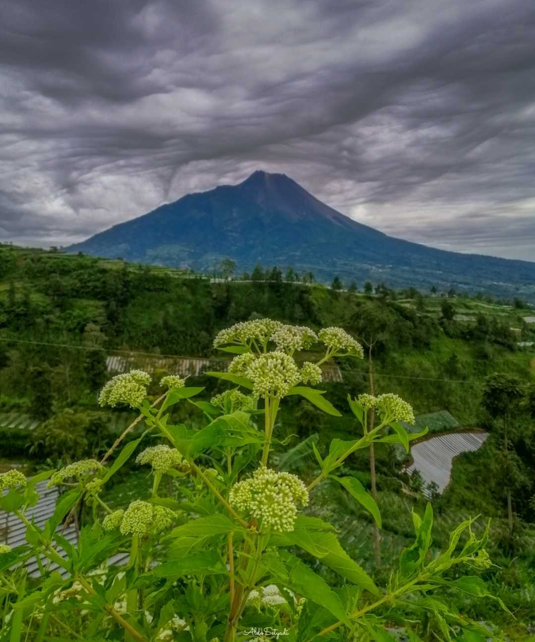 mendung tak berarti hujan