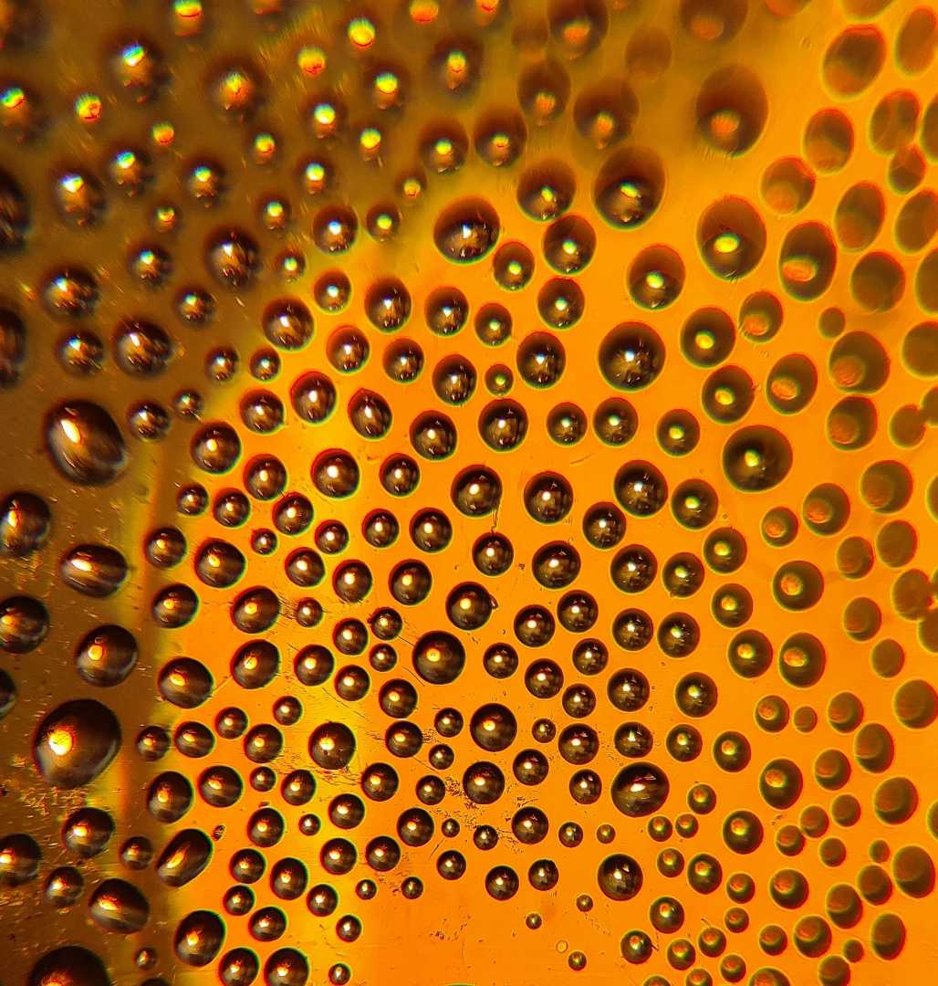 macro photography 📲