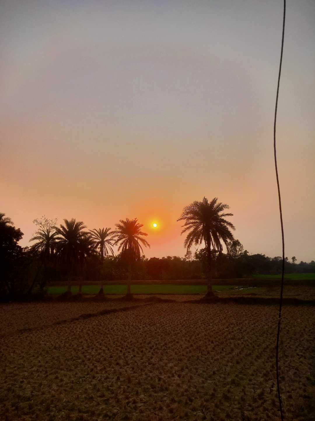 Crazy sunset 🌇