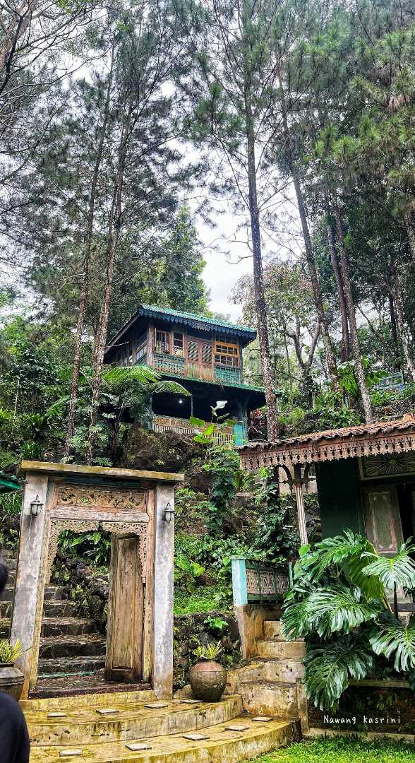 LQ Forest
