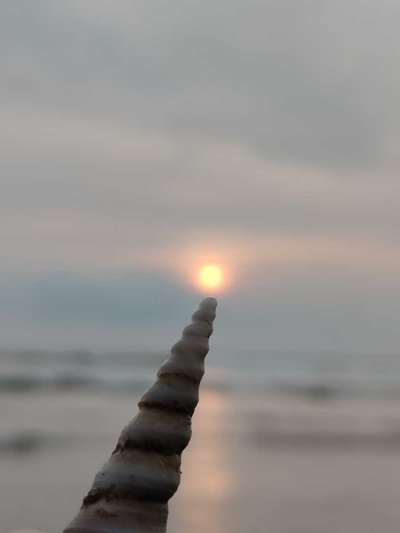 creative photography