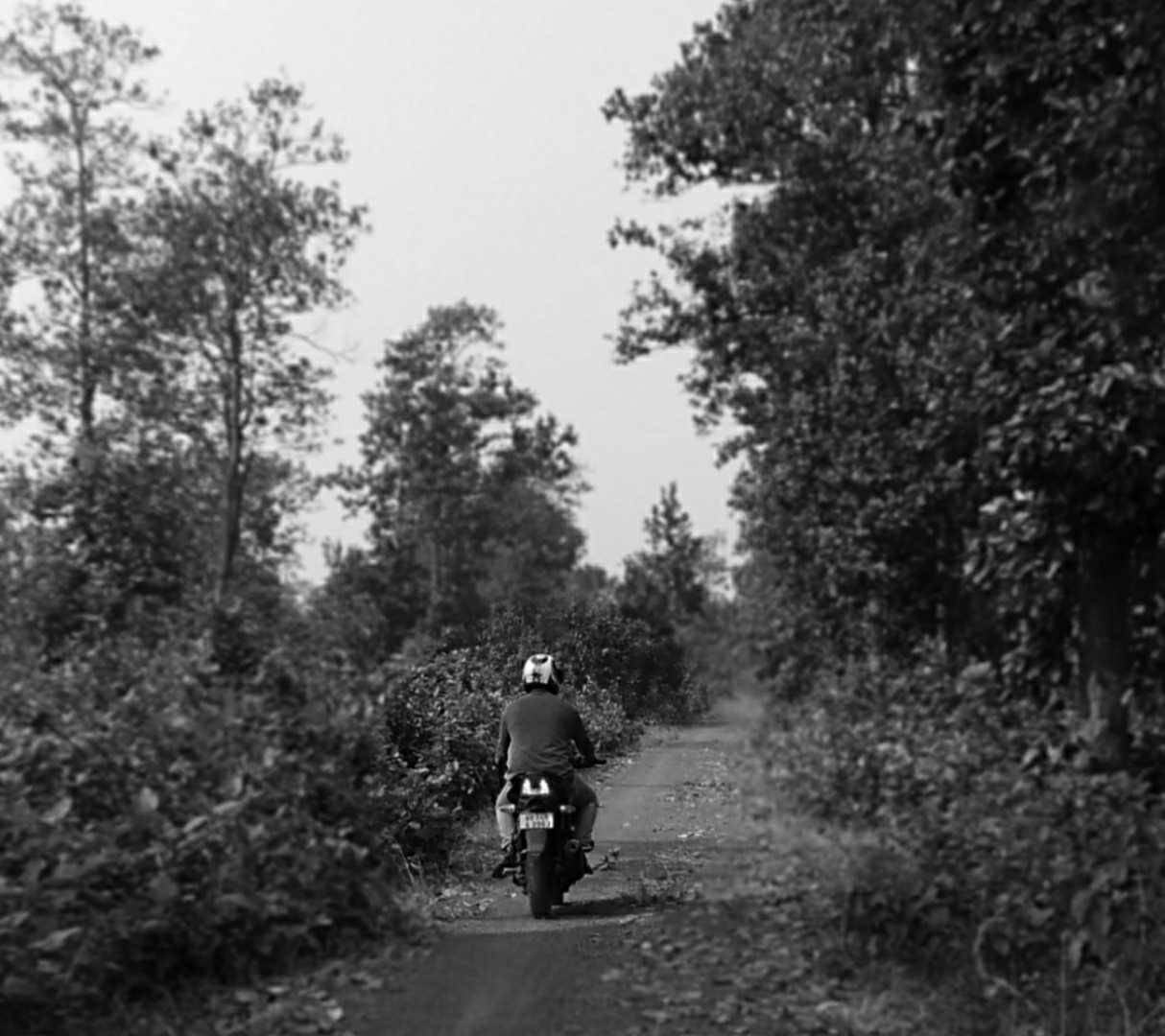 Forest Road