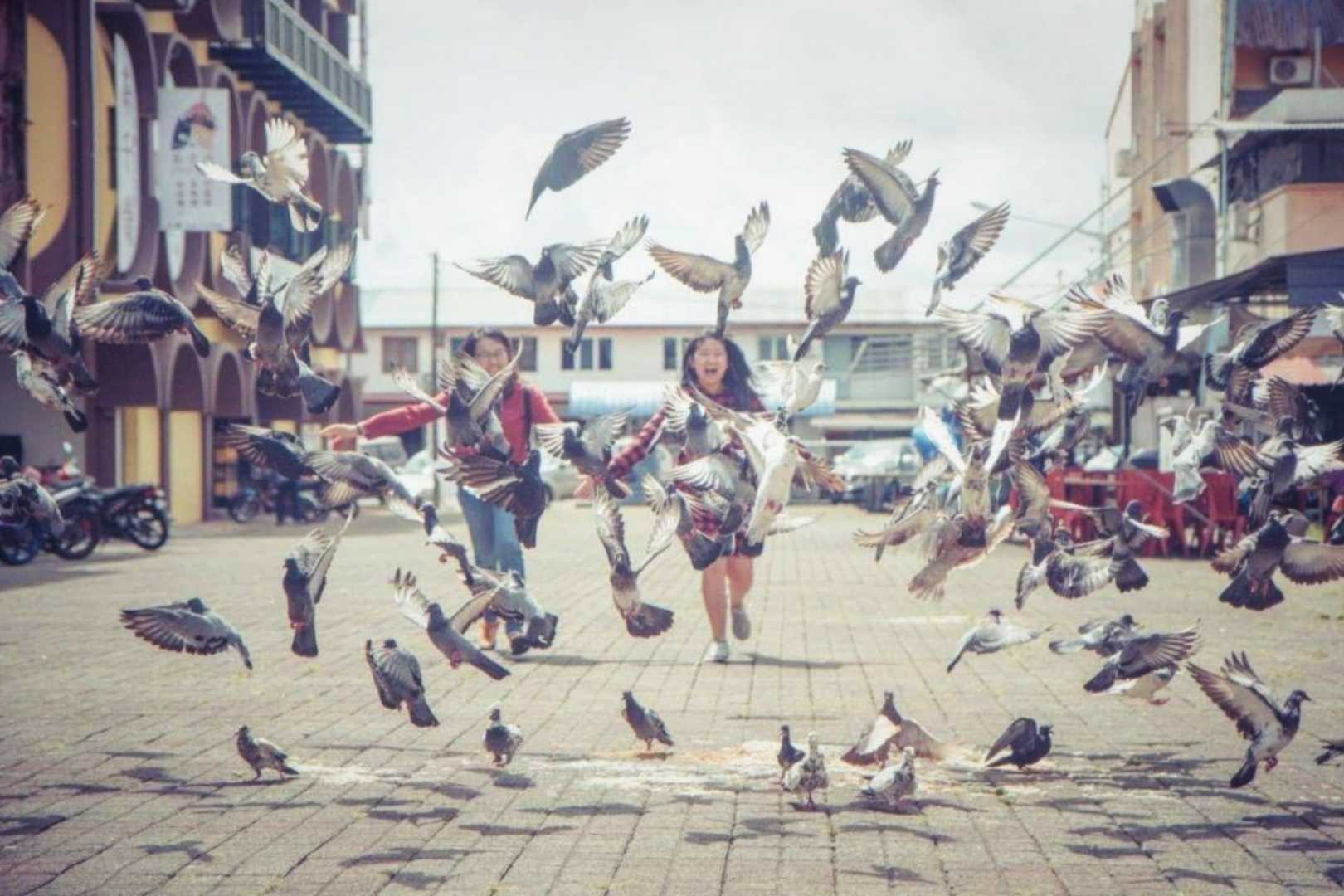 • Chasing Pigeons III •
