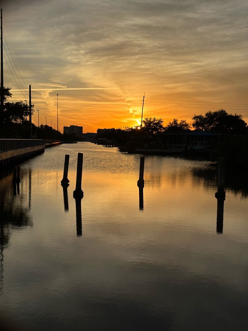 🌅