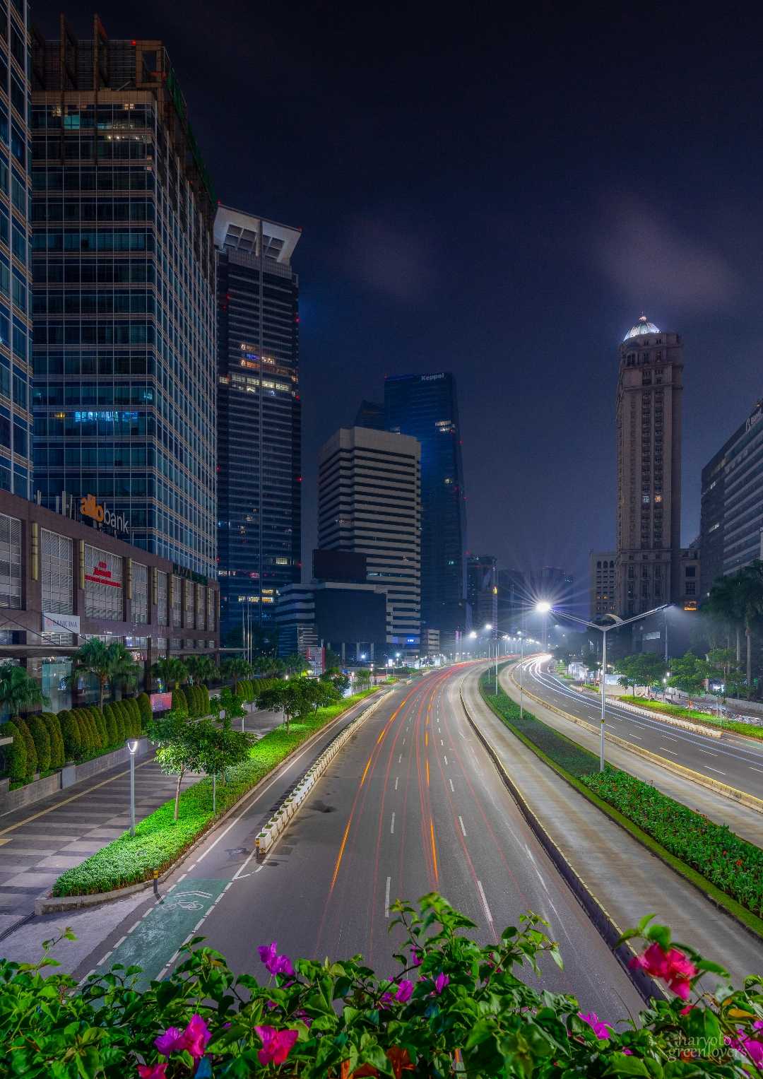 Setiabudi Pedestrian bridge