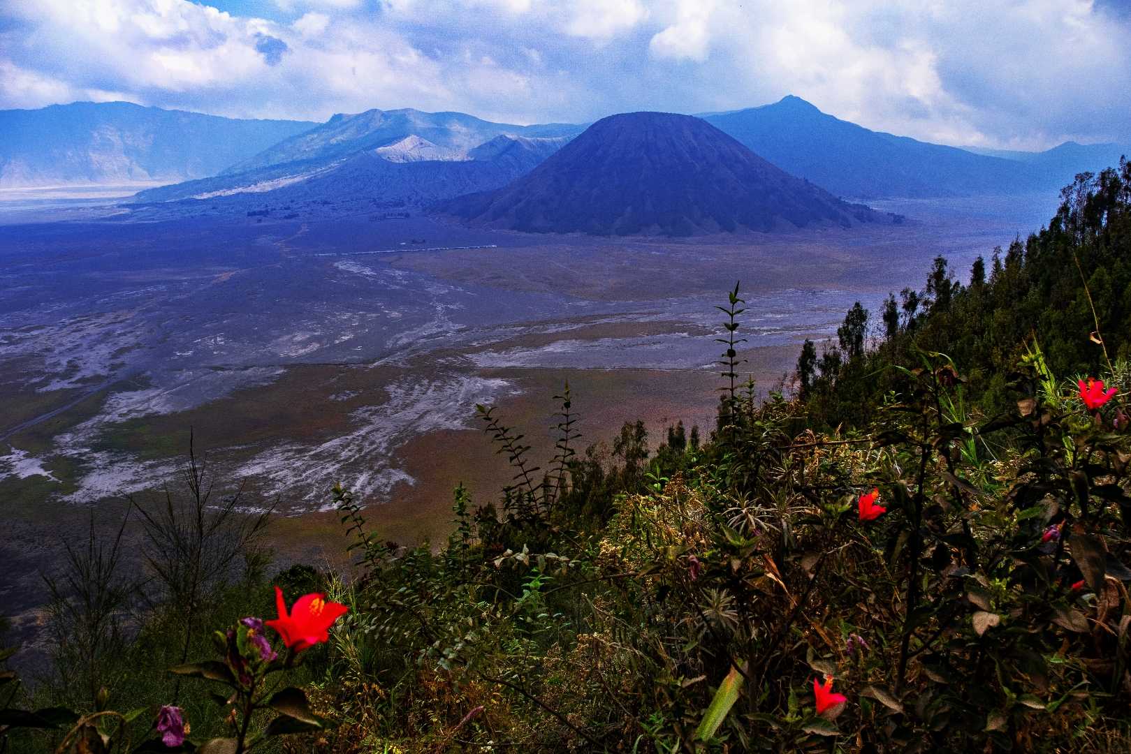 Scenery of Mount Bromo