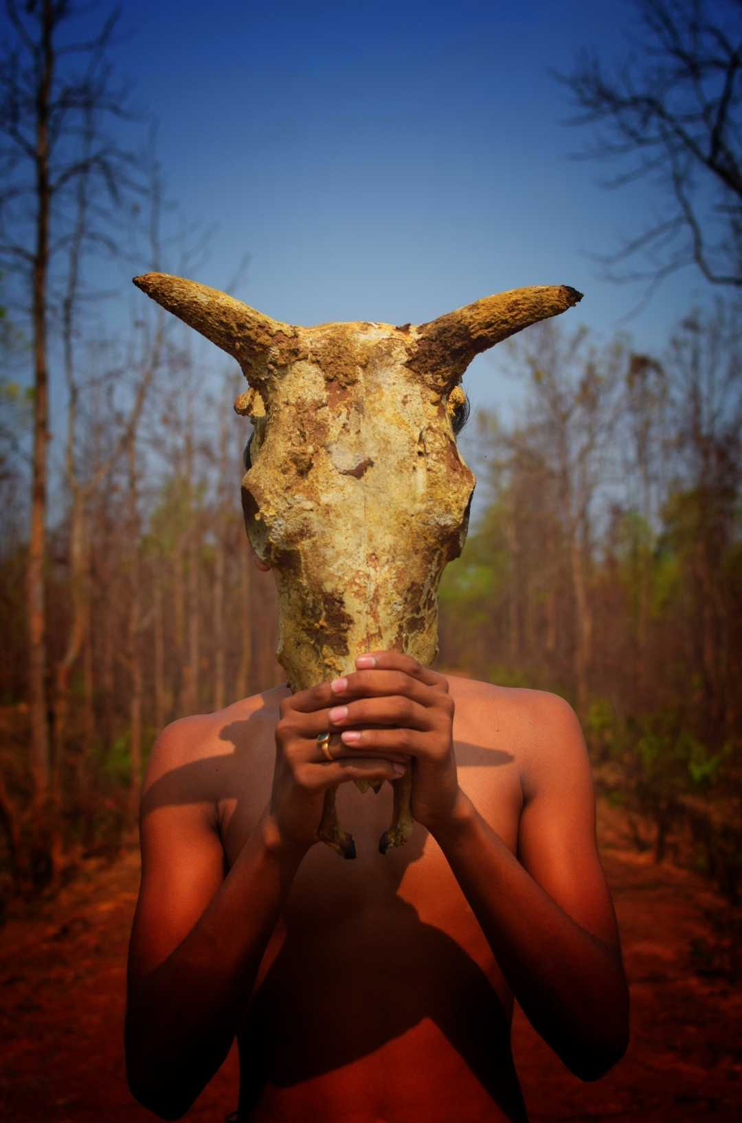 Cow 🐮 Head 