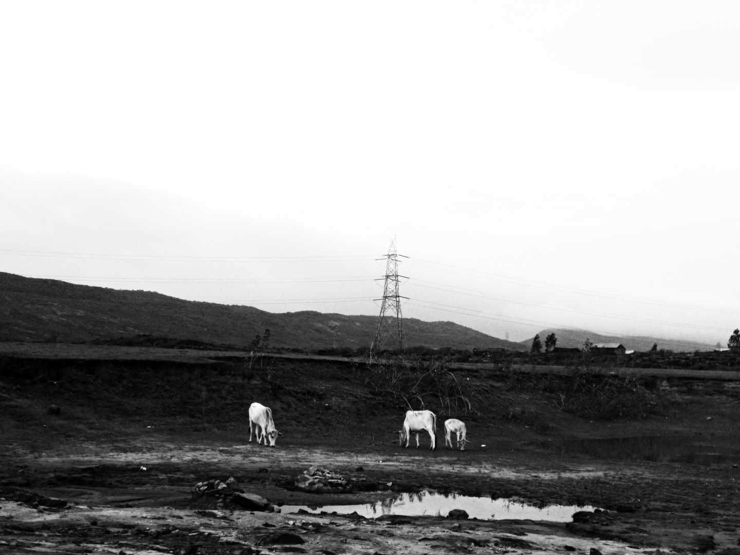 Black And white 